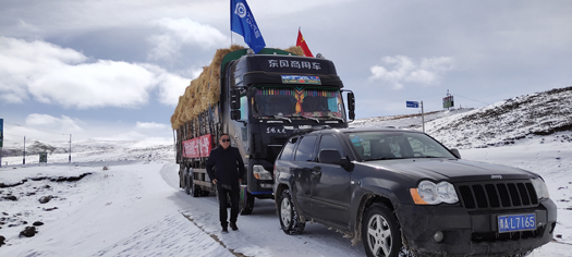中國太保業內首創藏系羊牦牛降雪量氣象指數保險 ，並在大雪天為果洛州農戶運送牦牛飼料。